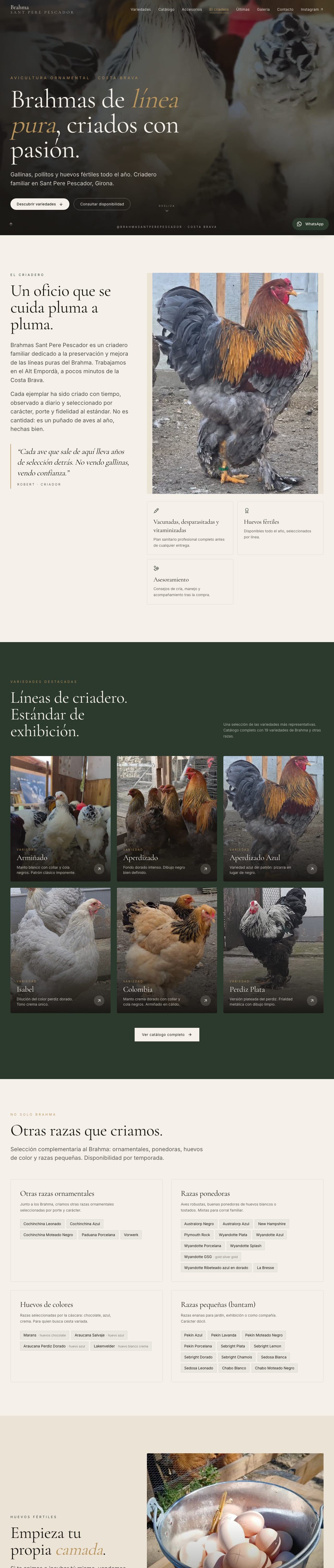 Recorrido por la web de Brahma Sant Pere Pescador