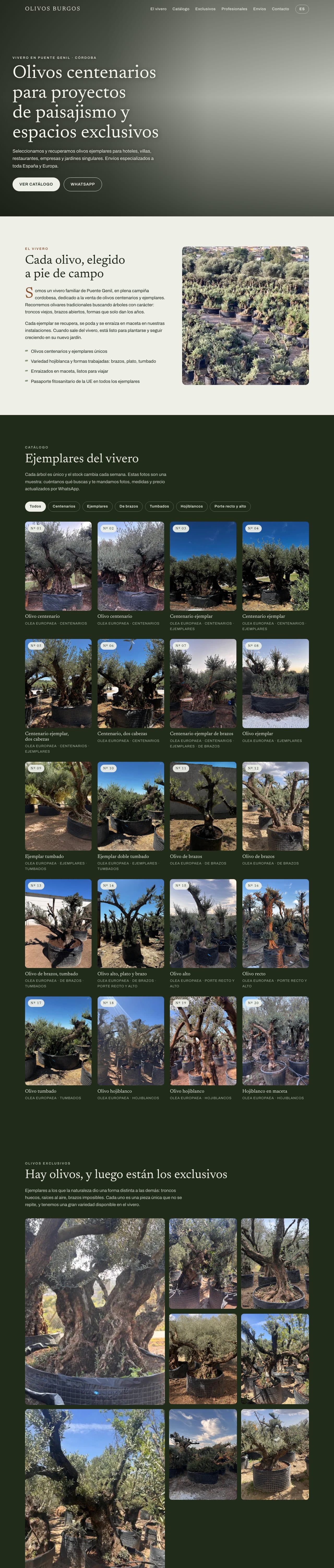 Recorrido por la web de Olivos Burgos